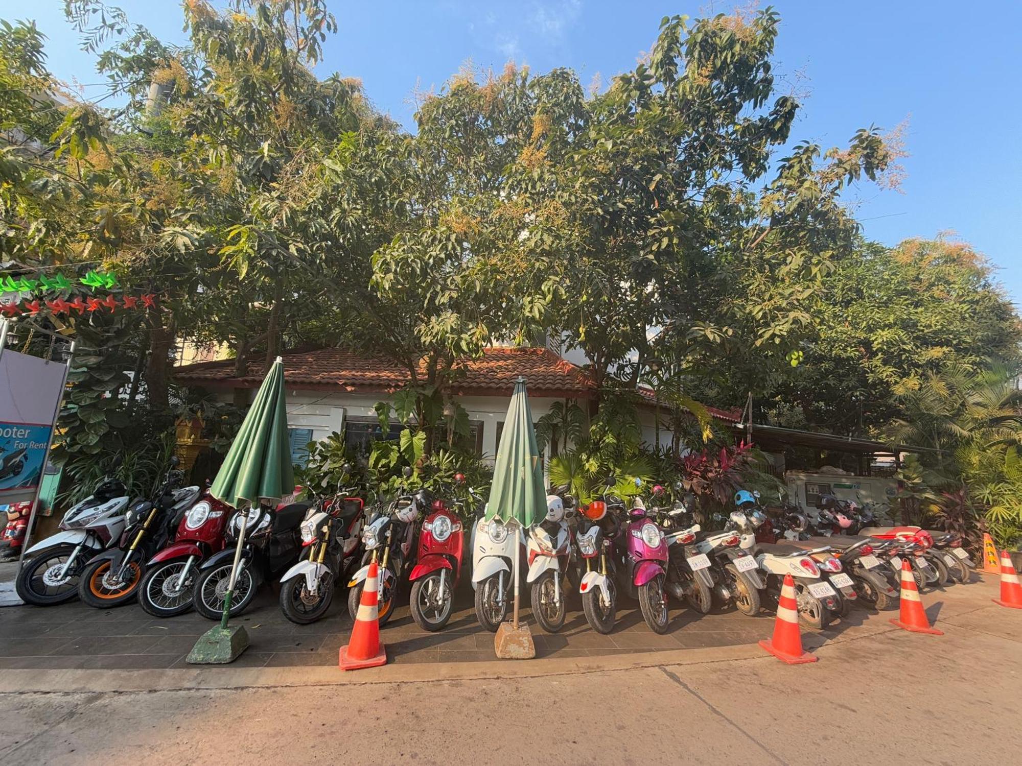 Asanak D'Angkor Boutique Hotel Siem Reap Esterno foto